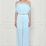 Ostrich Feather Embellished Strapless Top in Baby Blue