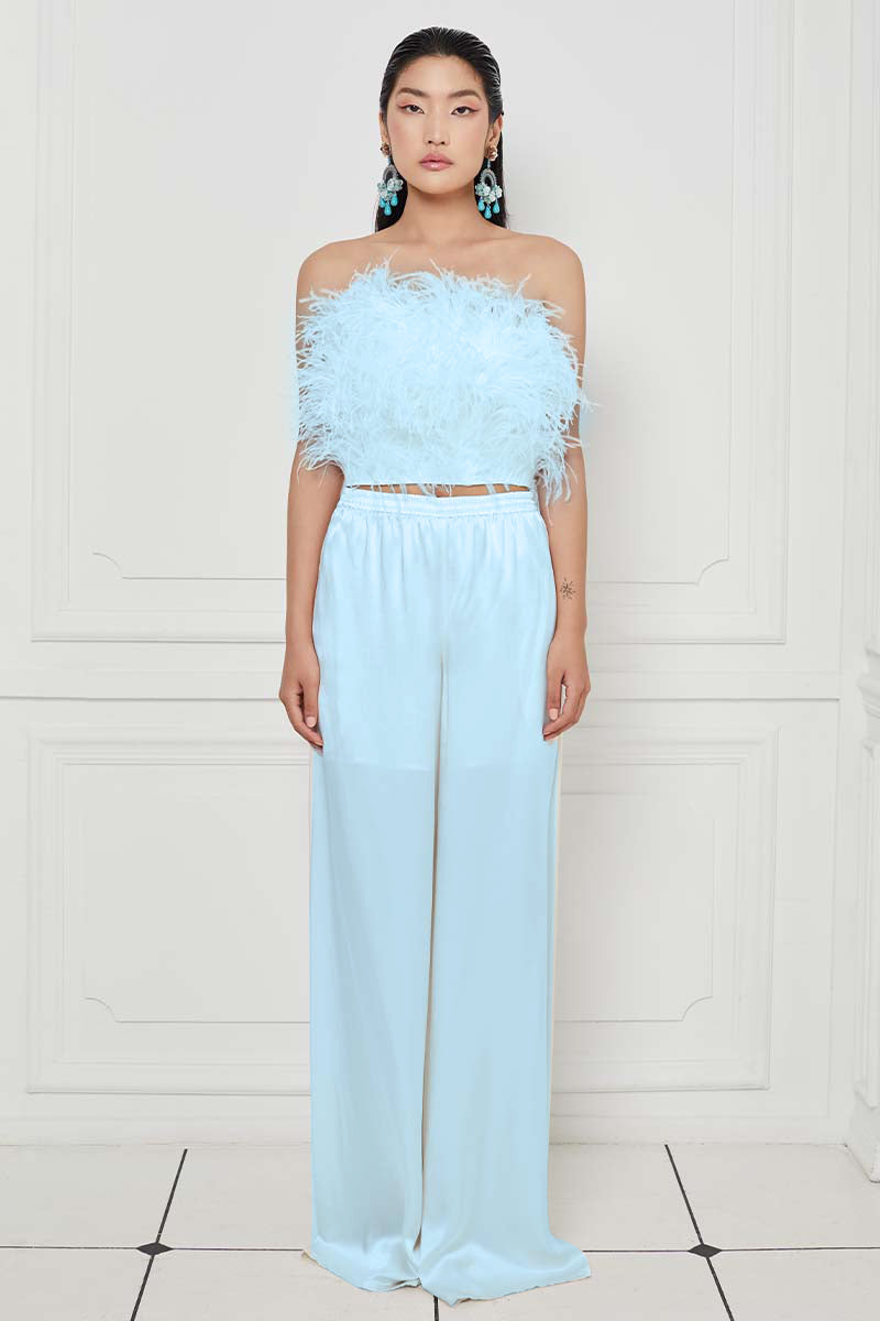 Ostrich Feather Embellished Strapless Top in Baby Blue