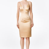 Champagne Silk Satin Plunging Neckline Cross Back Dress