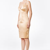 Champagne Silk Satin Plunging Neckline Cross Back Dress